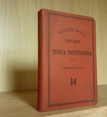Leopoldo maggi tecnica - leopoldo,